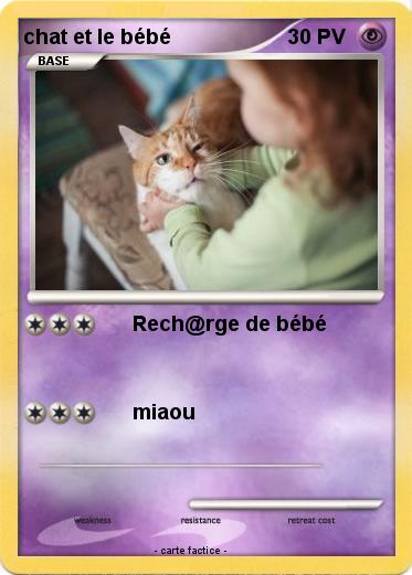 Pokemon chat et le bébé