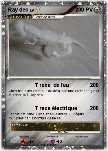 Pokemon Ray deo