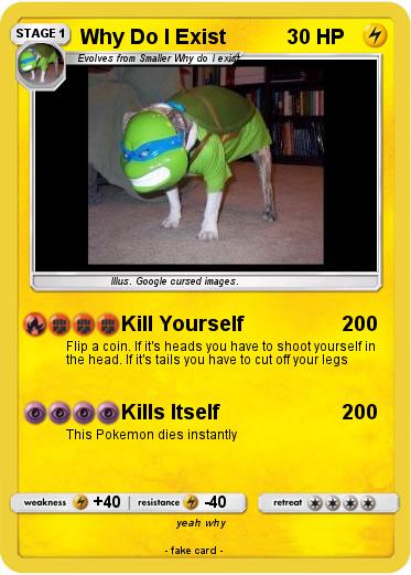 Pokemon Why Do I Exist
