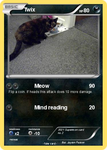 Pokemon Twix