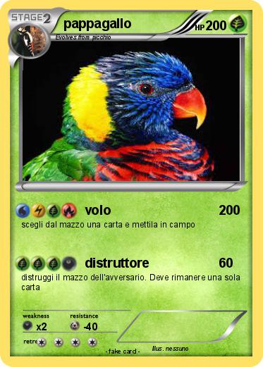 Pokemon pappagallo