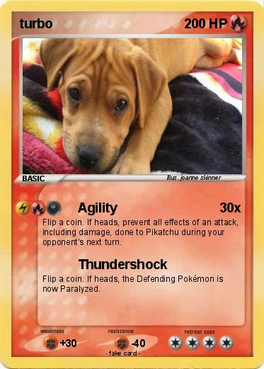 Pokemon turbo