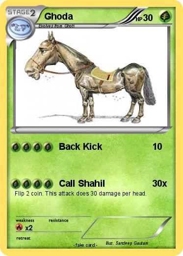 Pokemon Ghoda