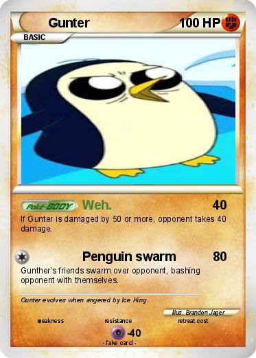 Pokemon Gunter