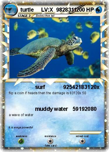Pokemon turtle     LV:X  9828311