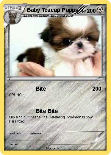 Pokemon Baby Teacup Puppy