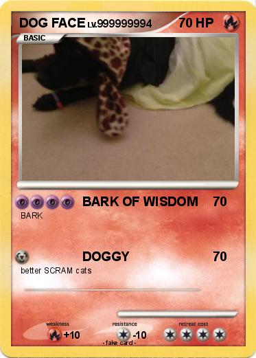 Pokemon DOG FACE