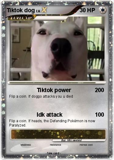 Pokemon Tiktok dog