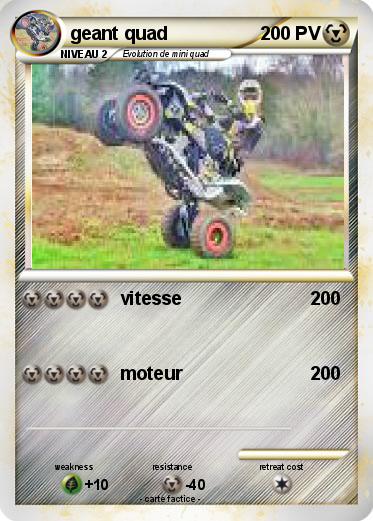 Pokemon geant quad