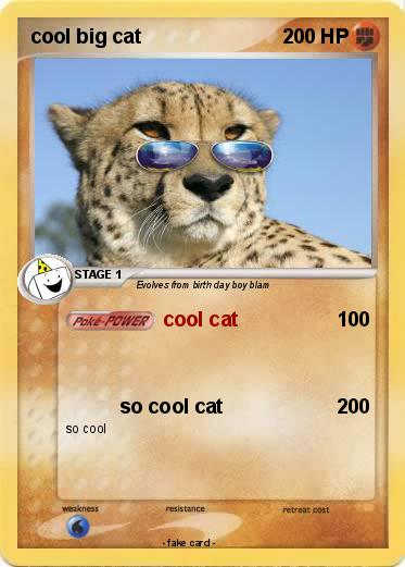 Pokemon cool big cat