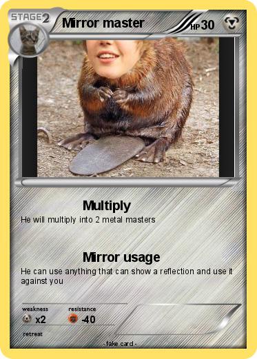 Pokemon Mirror master