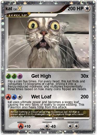 Pokemon kat