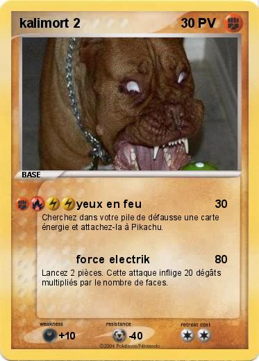 Pokemon kalimort 2