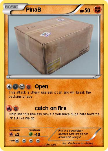 Pokemon PinaB