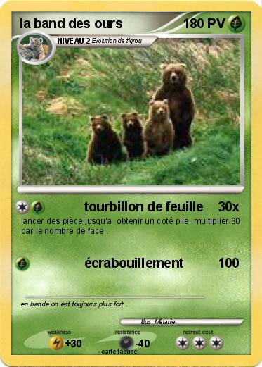 Pokemon la band des ours