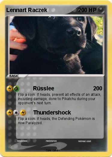 Pokemon Lennart Raczek