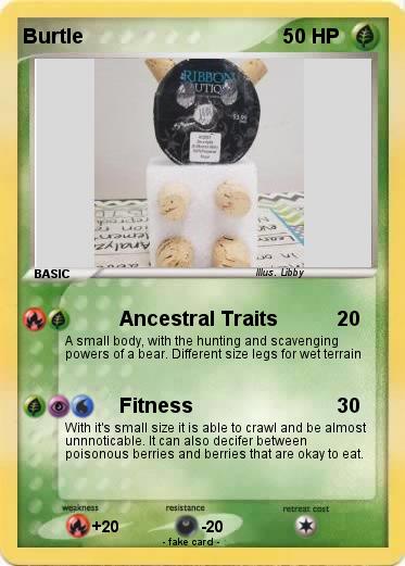 Pokemon Burtle