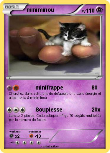 Pokemon miniminou