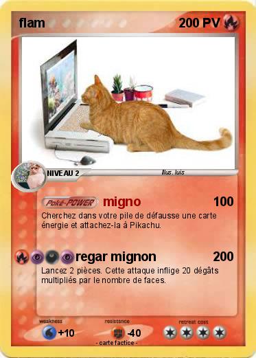 Pokemon flam