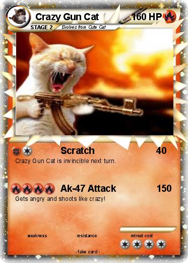 Pokemon Crazy Gun Cat