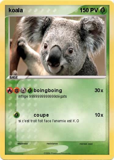Pokemon koala