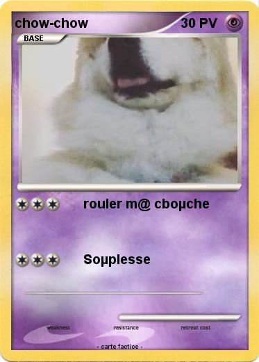 Pokemon chow-chow