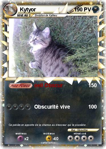 Pokemon Kytyor