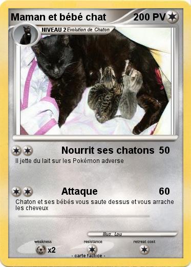 Pokemon Maman et bébé chat