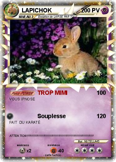 Pokemon LAPICHOK