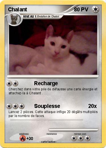 Pokemon Chalant