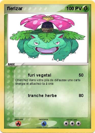 Pokemon flerizar
