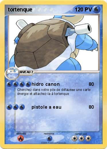 Pokemon tortenque