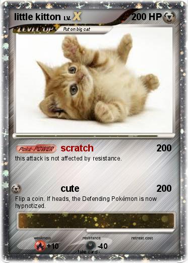 Pokemon little kitton