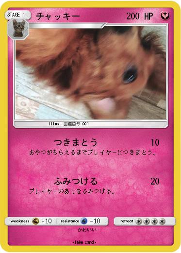 Pokemon チャッキー