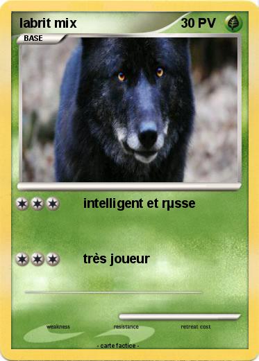 Pokemon labrit mix