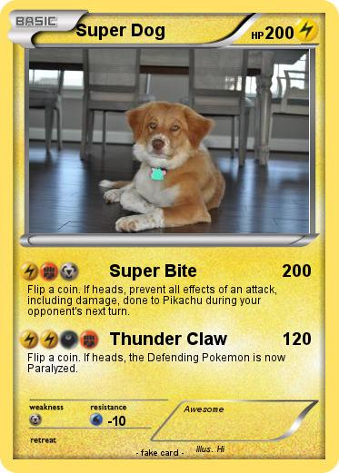 Pokemon Super Dog