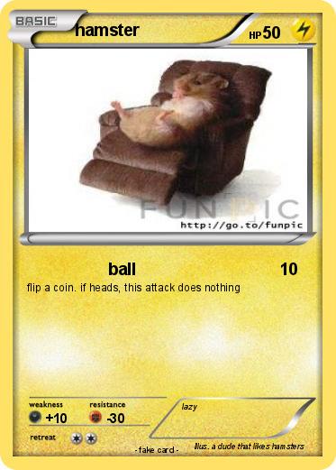 Pokemon hamster