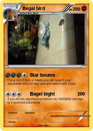Pokemon Begal bird