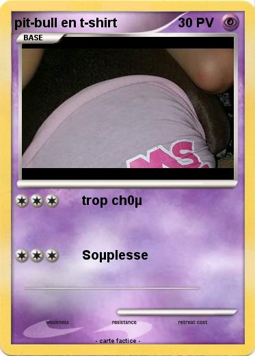 Pokemon pit-bull en t-shirt
