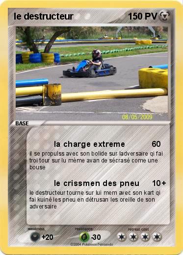 Pokemon le destructeur