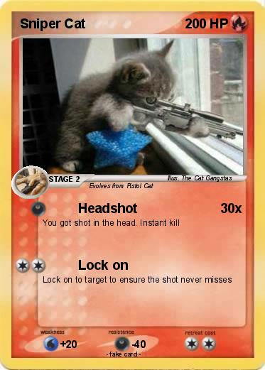 Pokemon Sniper Cat