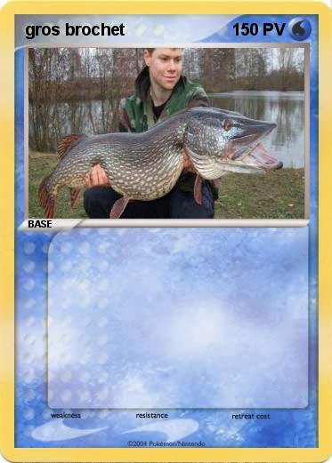 Pokemon gros brochet