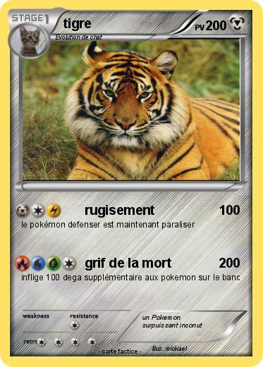 Pokemon tigre