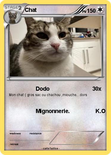 Pokemon Chat