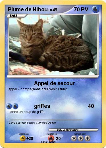 Pokemon Plume de Hibou