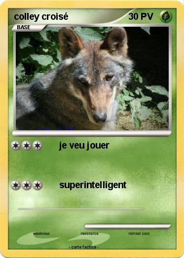 Pokemon colley croisé