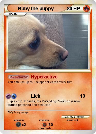 Pokemon Ruby the puppy