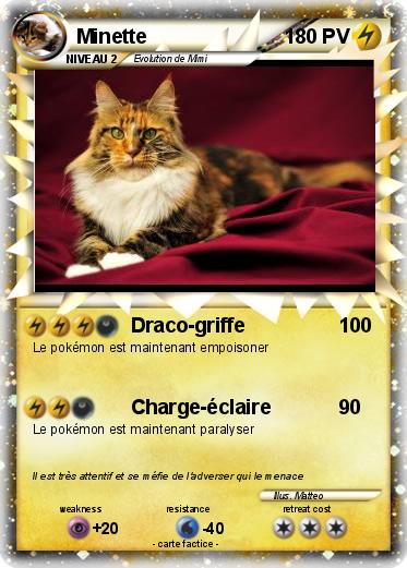 Pokemon Minette