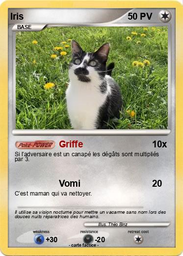 Pokemon Iris