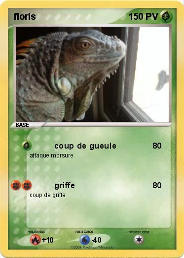 Pokemon floris